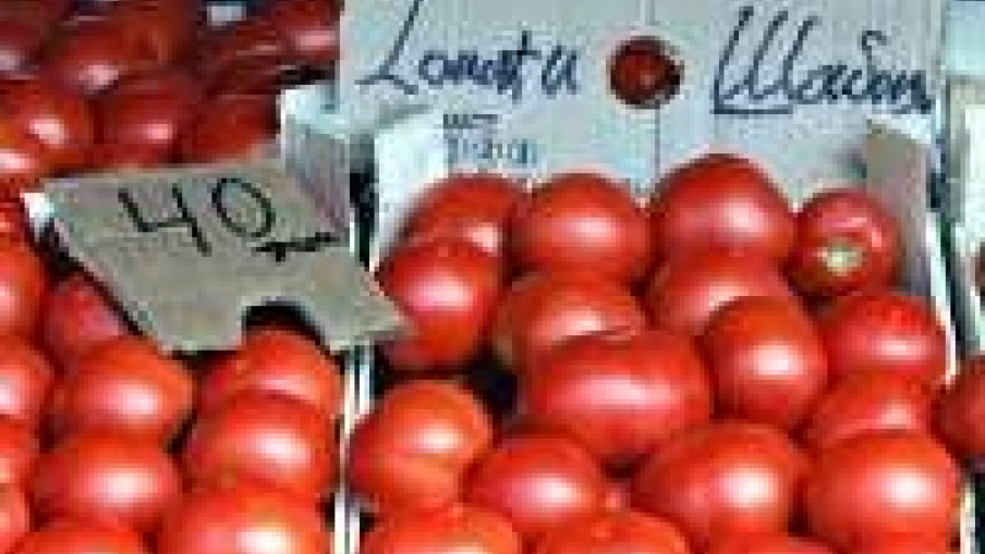 Парадајз и краставац најопаснији
