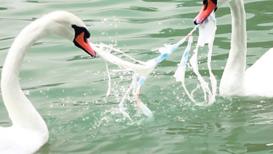 Stop upotrebi plastičnih kesa