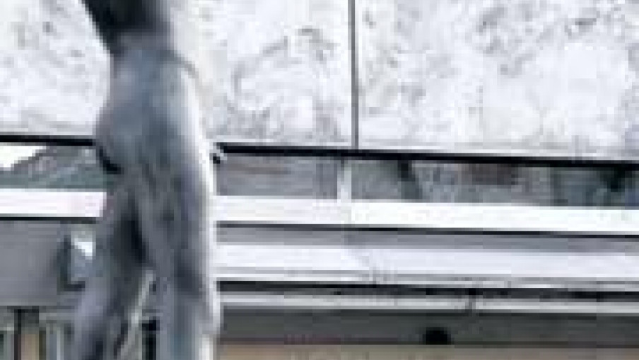 Slovenački "istorijski pogled" na dešavanja u BiH
