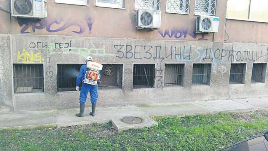 Комарци зује и усред зиме