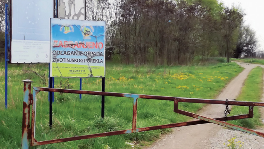 Крадљивци меса на сточном гробљу