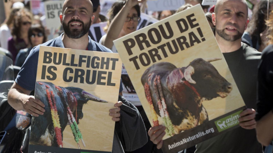 U Madridu protest protiv borbi bikova