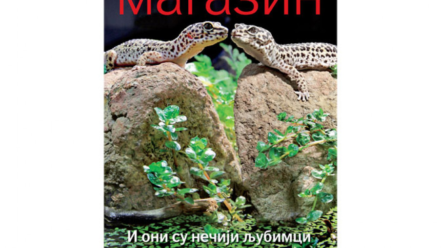 Akvarijum na Dedinju