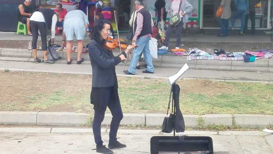 Dama s violinom 
