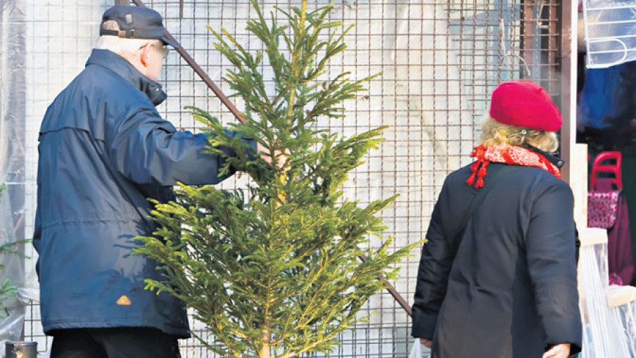Sečena ili s busenom, važno da je legalna