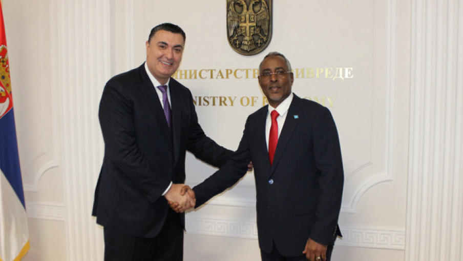 Basta sa ministrom Somalije o budućoj saradnji dve zemlje