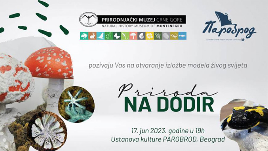 „Priroda na dodir” u UK Parobrod