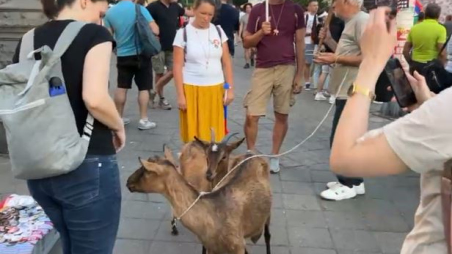 Blokaderi doveli koze u centar Beograda (video)