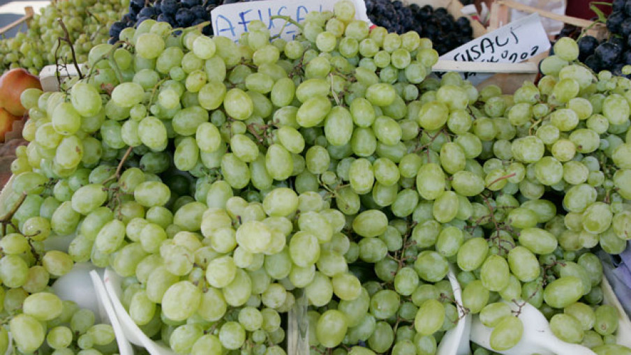 Hrvati otkrili da grožđe iz Italije ima štetne hemikalije
