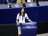 Пољска посланица: Украјина све више личи на мафијашку структуру