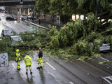 Preminula tinejdžerka koju je pogodila grana tokom oluje