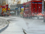 Настрадало 1500 свиња у пожару на породичној фарми