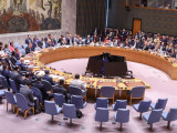 Савет безбедности УН осудио убиство српског мировњака у Либану