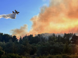 Požar u Grčkoj kod Korinta, na terenu avioni i helikopteri