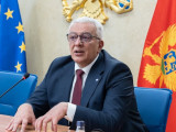 Андрија Мандић и НСД пред новом одлуком о закону који Србију ставља у улогу окупатора