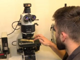 Иновација са ФТН-а: папирне антене уместо електронских тагова