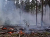Veliki šumski požar u Černobilju