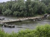Војска поставила понтонски мост преко Велике Мораве код Свилајнца