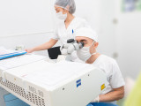Otkriveni biomarkeri koji sa 100 odsto tačnosti predviđaju smrtni ishod od ebole