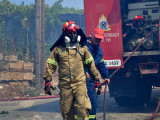 Vatrogasci lokalizovali požar na Peloponezu