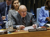 Небензја: Величање нацизма у Украјини окончаће се тек после одласка Зеленског