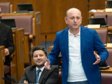Кнежевић: Избацили су српски језик, зато ДНП неће подржати уставне измене