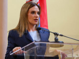 Ђурђевић Стаменковски: Ђилас увредио и 18 удружења која заступају интересе родитеља