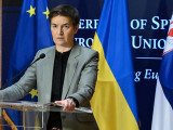Брнабићева: Пицула инсистира да Србија буде кажњена због просрпске политике