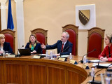 СНСД поднео жалбу Уставном суду БиХ против Шмитовог закона којим је Додик осуђен