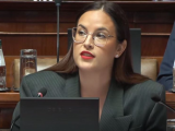 Павков: Поднето 1.085 пријава за кршење норми заштите животне средине