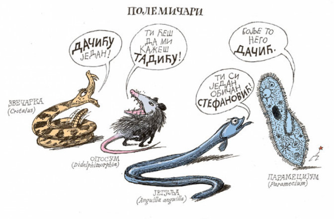 Polemic-ari.jpg
