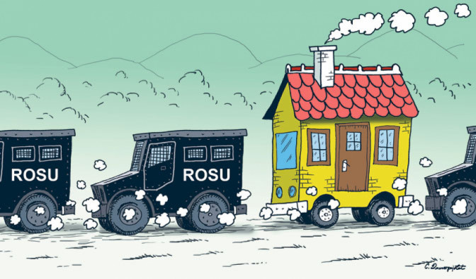 215--BORNA-KOLA.jpg
